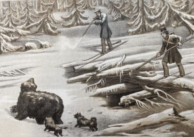 1800-talets kändisar jagade björn i Solleröns skogar